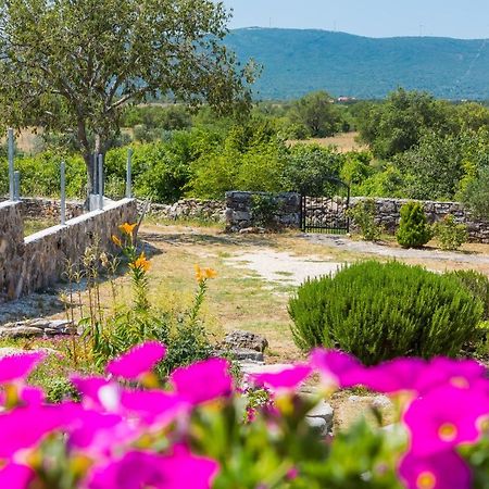 Holiday Home Vlatka Lozovac Εξωτερικό φωτογραφία